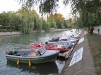 Imagine atasata: New_IMG_1106.jpg